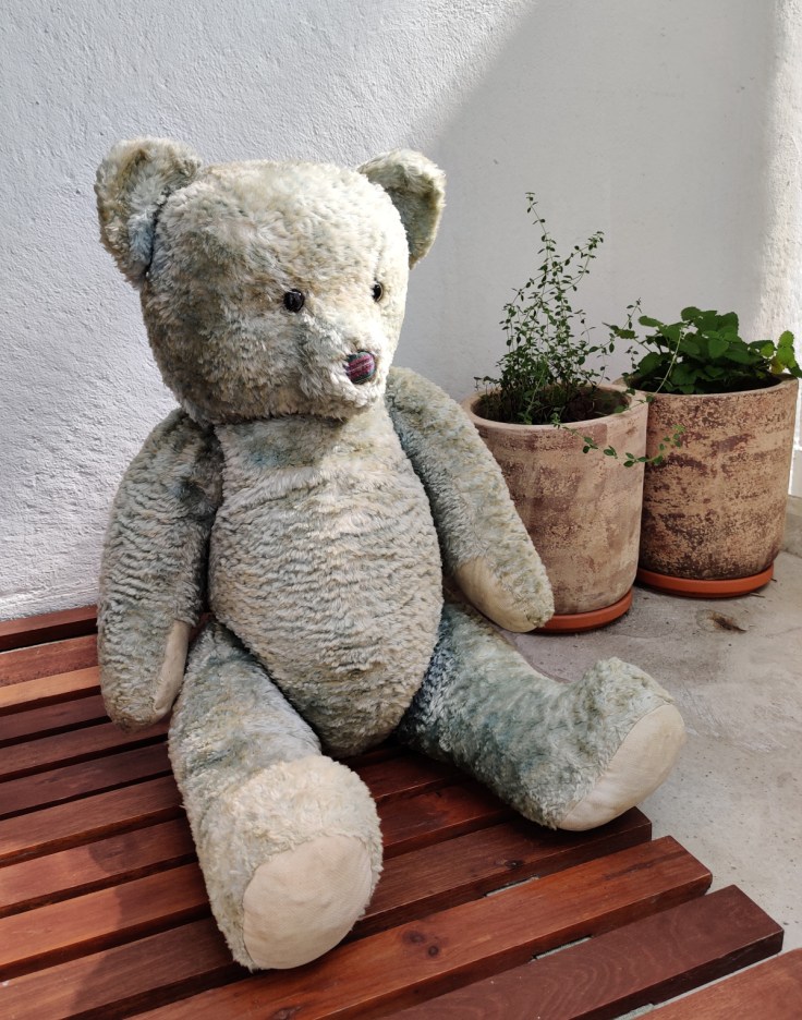 Iso vaaleansininen oljilla täytetty nalle 1950-luvulta.