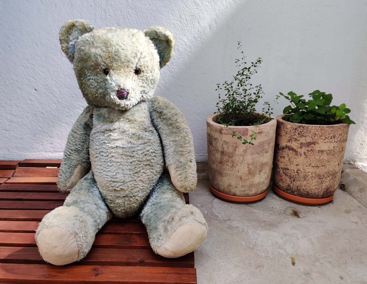 Iso vaaleansininen oljilla täytetty nalle 1950-luvulta.