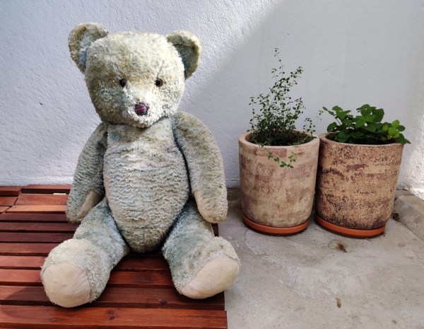 Iso vaaleansininen oljilla täytetty nalle 1950-luvulta.