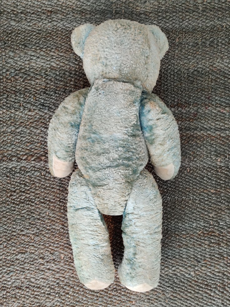 Iso vaaleansininen oljilla täytetty nalle 1950-luvulta, kuvattu takaa.