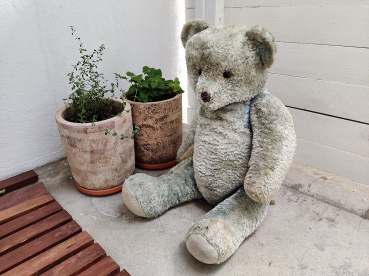 Iso vaaleansininen oljilla täytetty nalle 1950-luvulta.