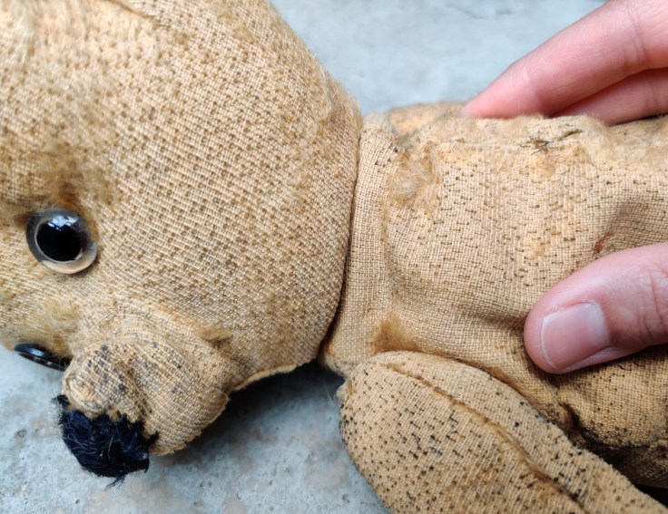 1950-luvun lelunalle, jonka sisällä on ääntä tekevä mekanismi. Mekanismi näkyy nallen selän kohdalla.