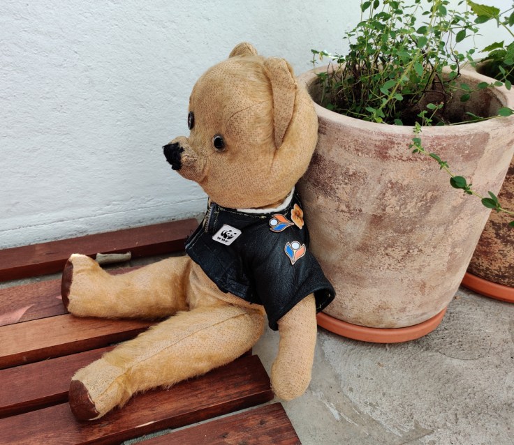 1950-luvun nalle, jonka päälle on puettu nuken takki.